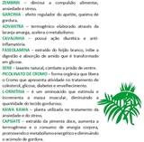 Emagrecedor com Zembrin 120 Cápsulas